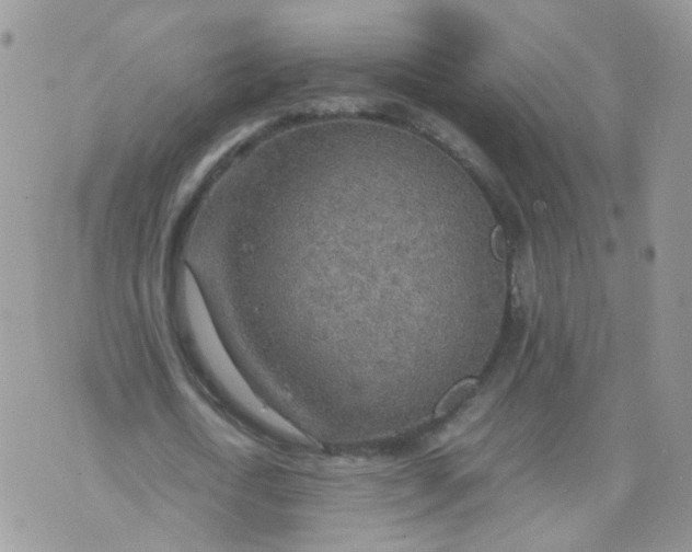 X0000070370722200606301855