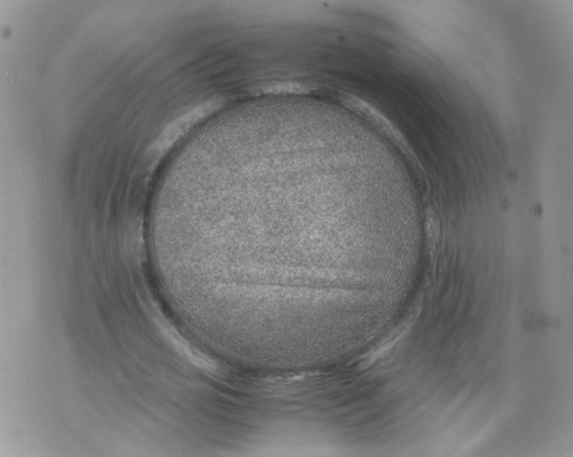 X0000070370725200606301855