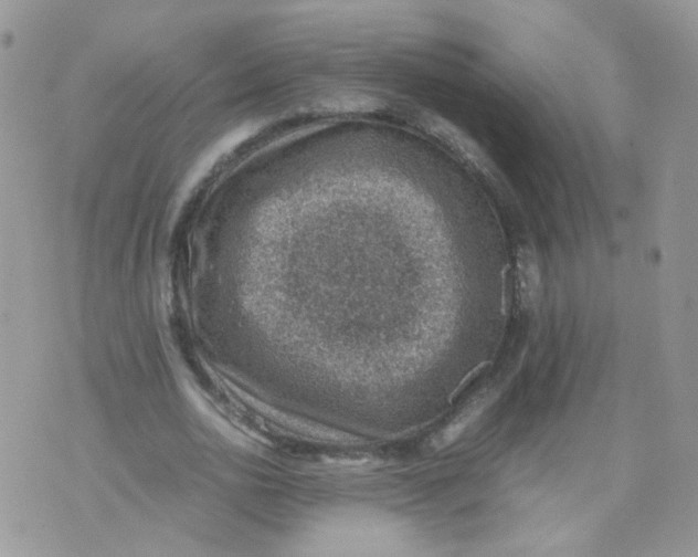 X0000070370726200606301855