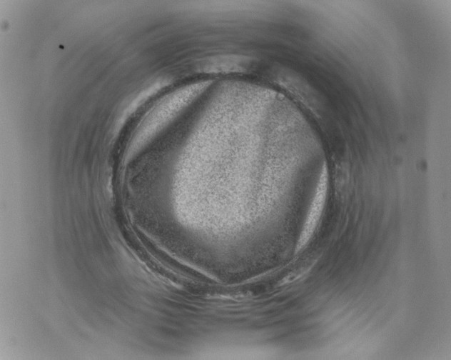 X0000070370727200606301855