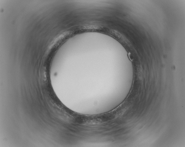 X0000070370731200606301855