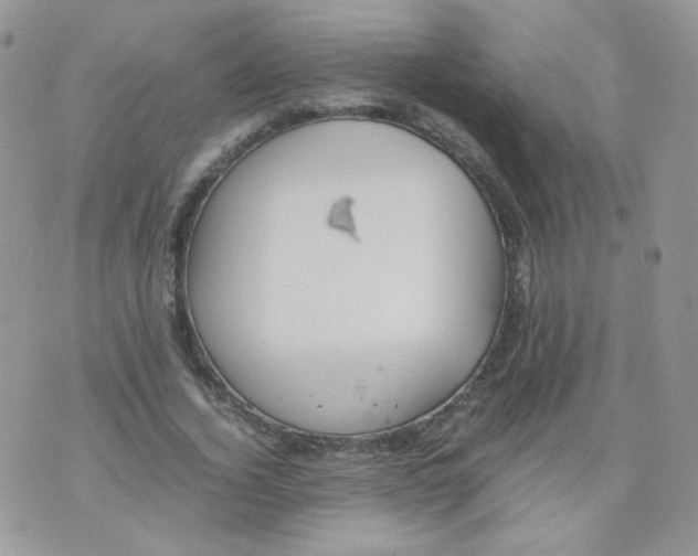 X0000070370732200606301855