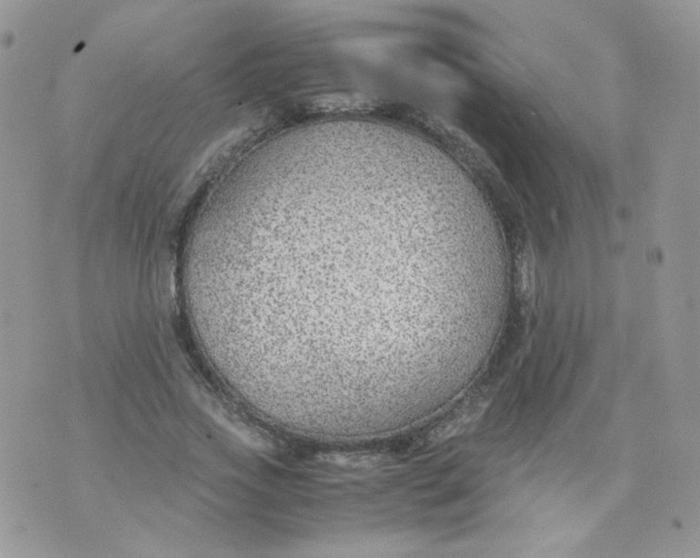 X0000070370733200606301856