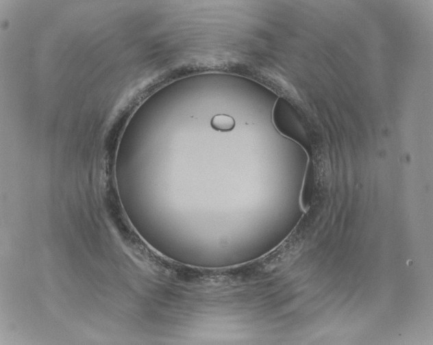 X0000070370736200606301856