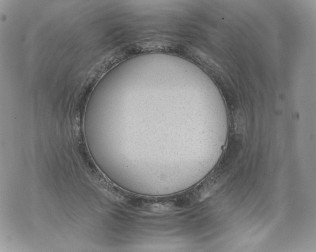 X0000070370737200606301856