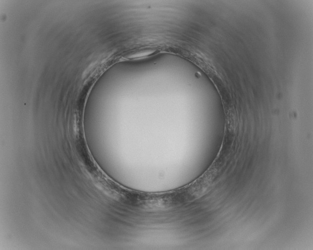 X0000070370740200606301856