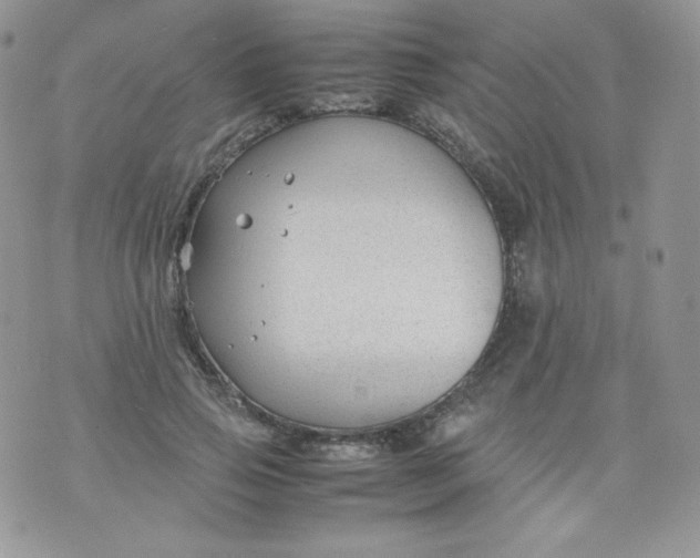 X0000070370741200606301856