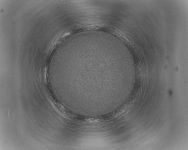 X0000070370742200606301856