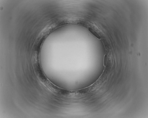 X0000070370744200606301856