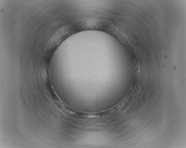 X0000070370746200606301856