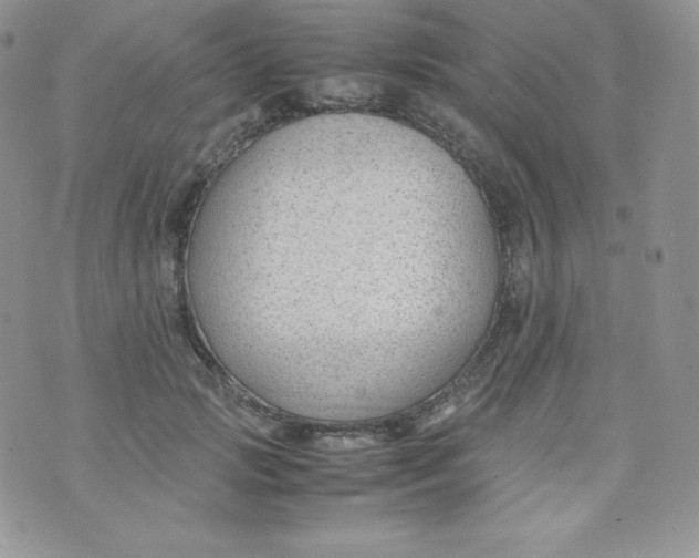 X0000070370749200606301856