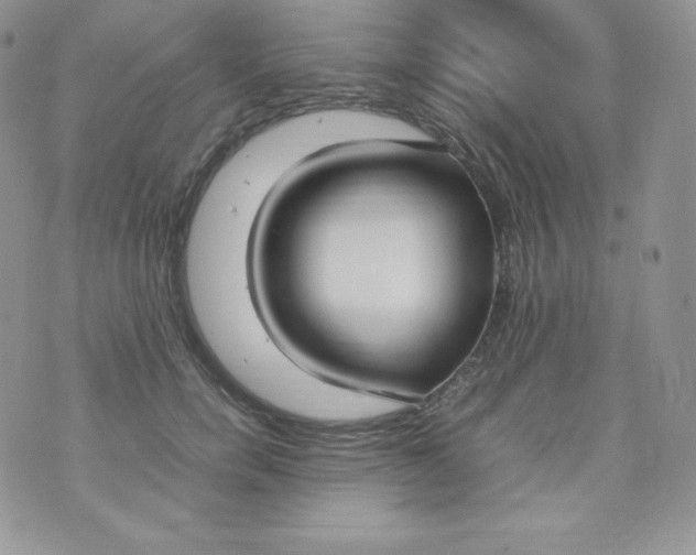 X0000070370750200606301856