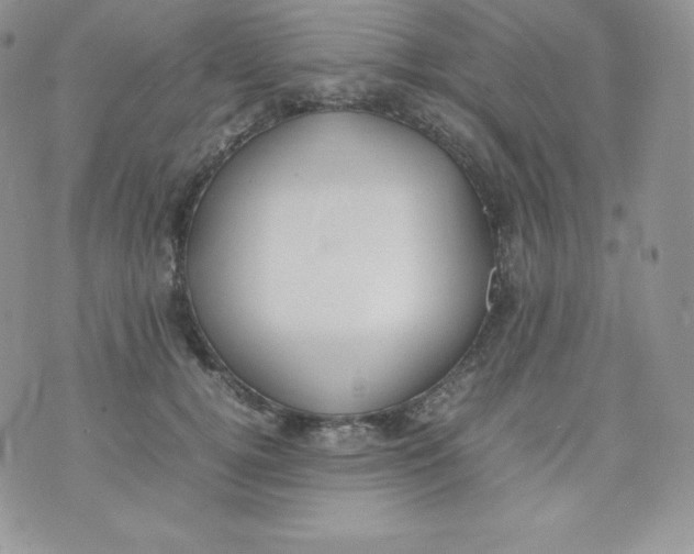 X0000070370752200606301856