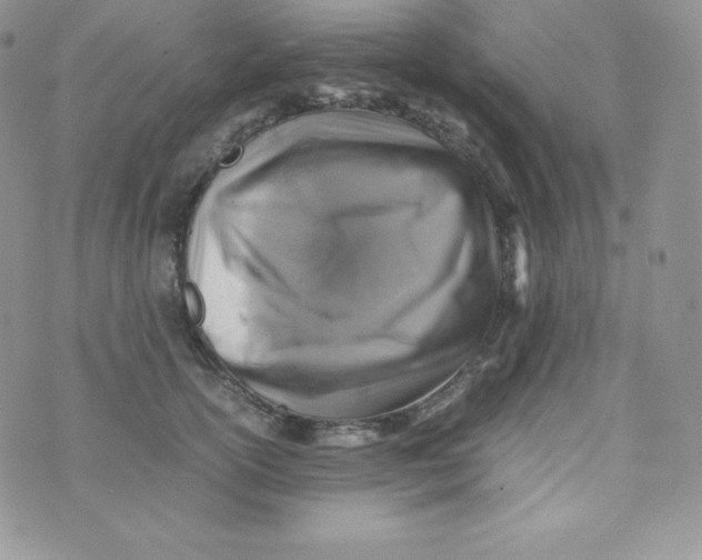 X0000070370754200606301856