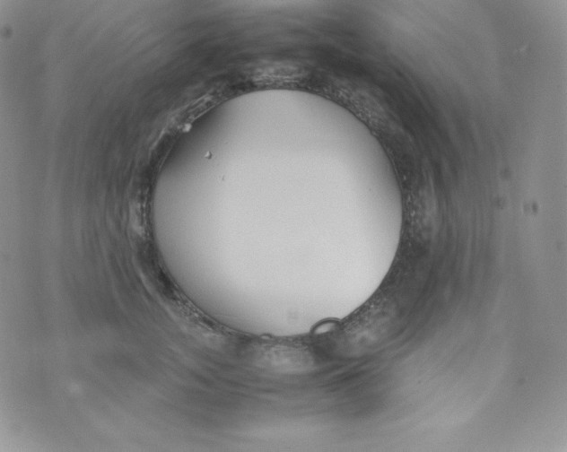 X0000070370755200606301856