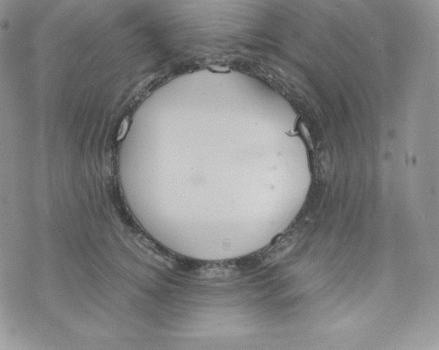 X0000070370756200606301856