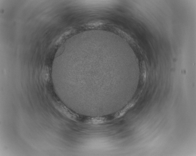 X0000070370758200606301856