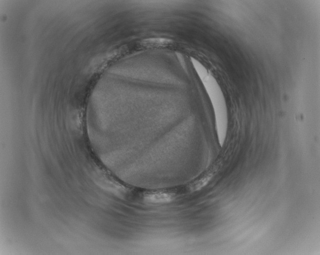 X0000070370759200606301856