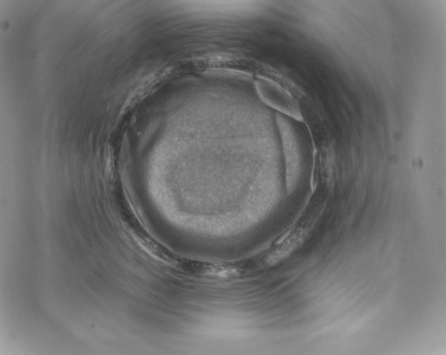 X0000070370760200606301856