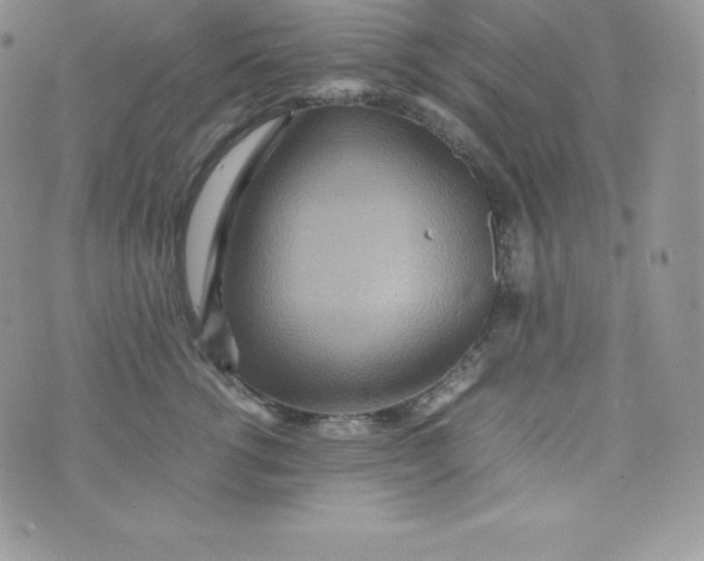 X0000070370762200606301856