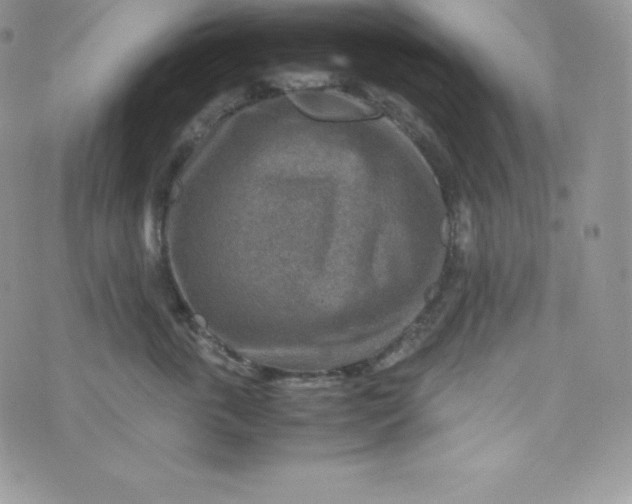 X0000070370763200606301856