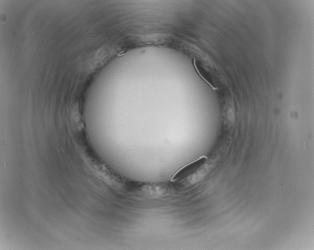 X0000070370764200606301856