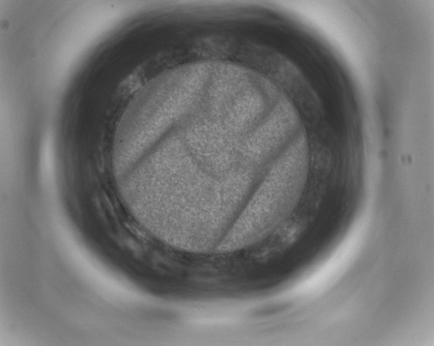 X0000070370765200606301856