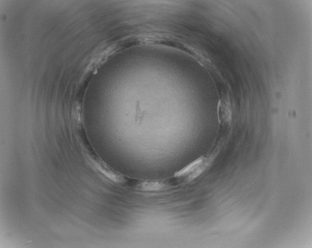 X0000070370766200606301856