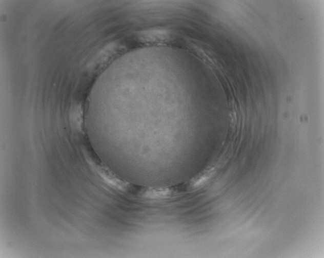 X0000070370767200606301856