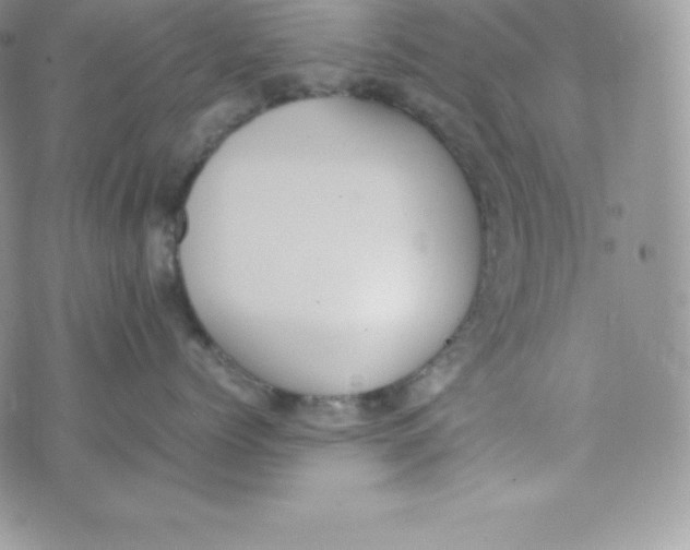 X0000070370768200606301856