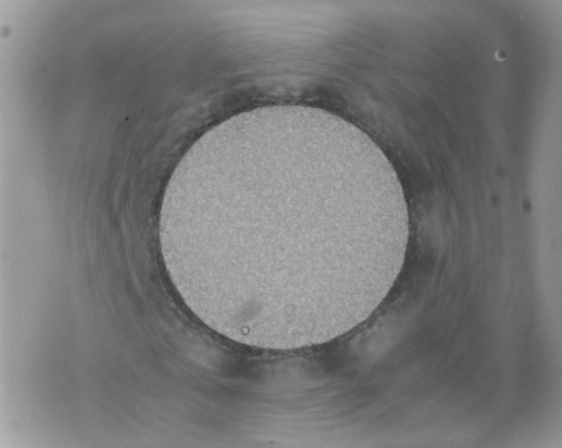 X0000070370769200606301855