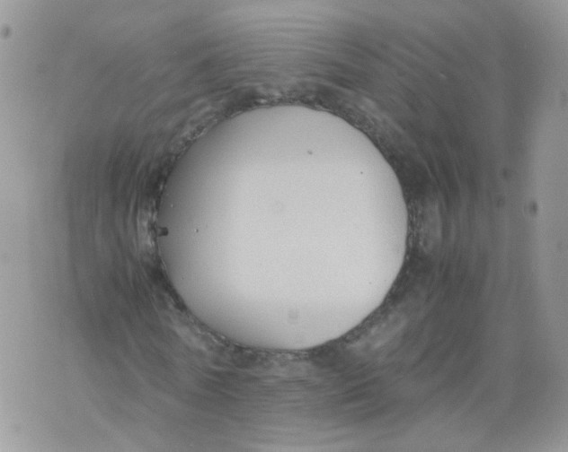 X0000070370770200606301855