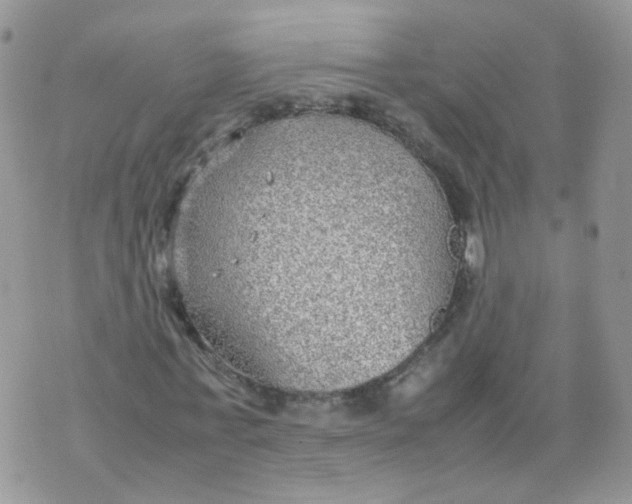 X0000070370771200606301855