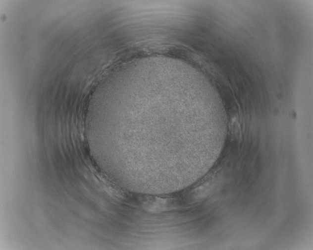 X0000070370772200606301855