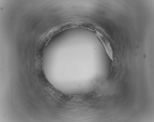 X0000070370773200606301855