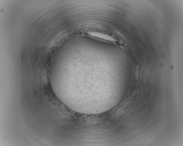 X0000070370774200606301855