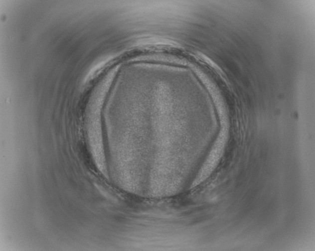 X0000070370775200606301855