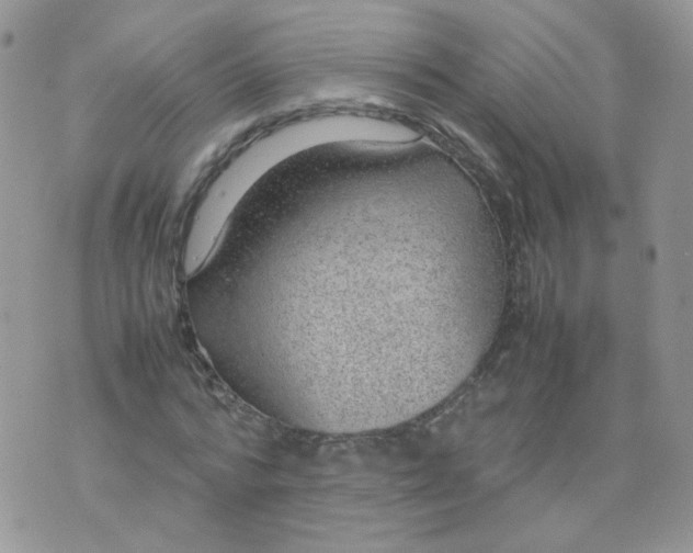 X0000070370776200606301855