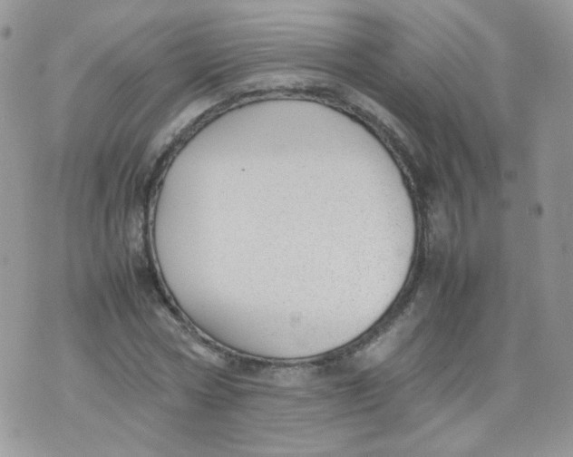 X0000070370778200606301855