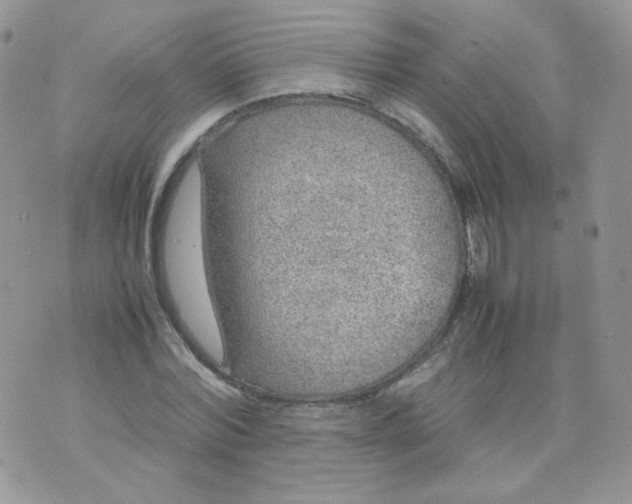 X0000070370780200606301855