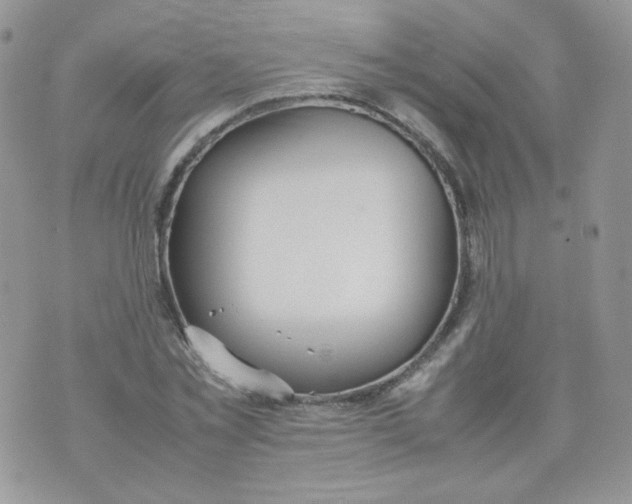 X0000070370781200606301855