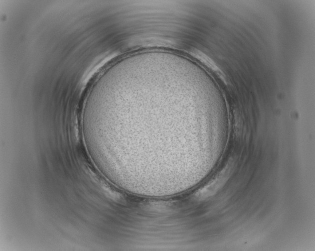 X0000070370782200606301855