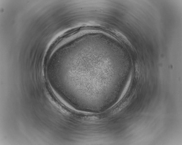 X0000070370784200606301855