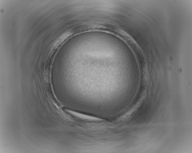 X0000070370785200606301855