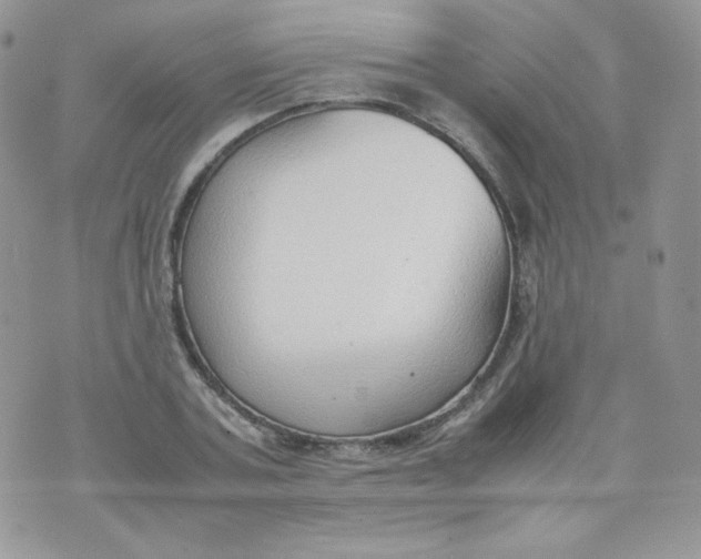 X0000070370787200606301855