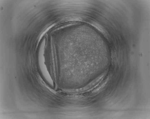 X0000070370790200606301855