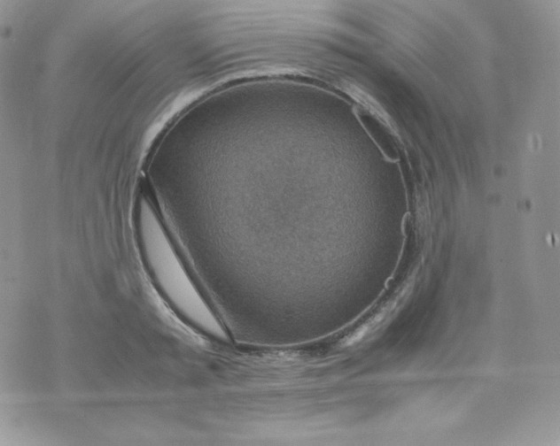 X0000070370797200606301855