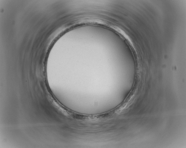 X0000070370799200606301855