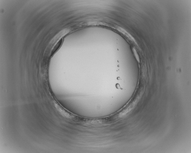 X0000070370801200606301855