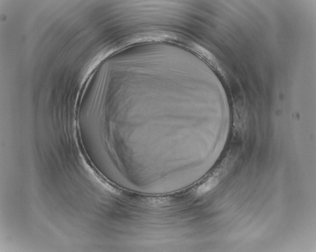 X0000070370802200606301855